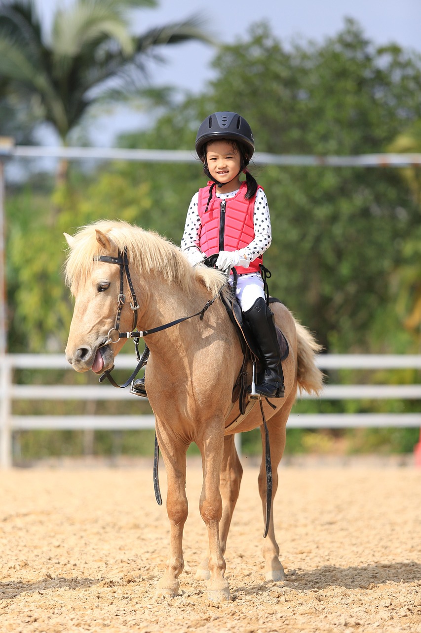 child, equestrian, pony horse, equestrian, equestrian, equestrian, equestrian, equestrian